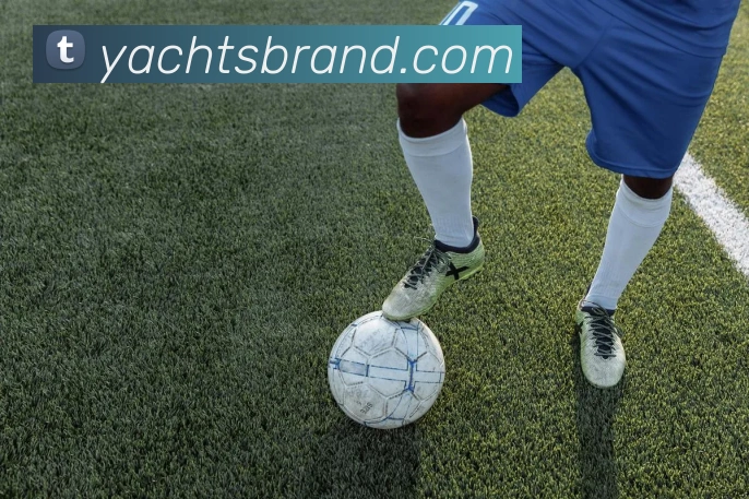未来规划